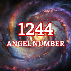 1244 Angel Number: Be Confident; You Can Create Your Own Reality